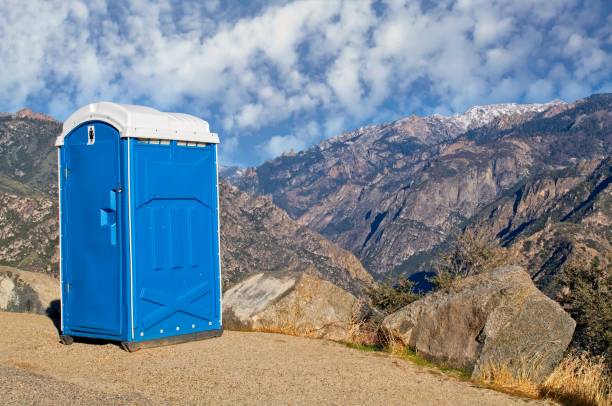 Best Portable Toilets with Baby Changing Stations  in Lmar, DE